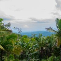 el yunque view