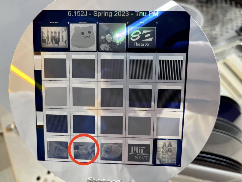 Silicon wafer with solar cells