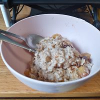 bananas and peaches and oatmeal in a bowl