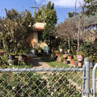 cute cottage that has many potted plants in its yard