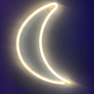 mounted neon moon sign