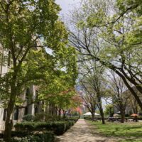 A sidewalk extending into the background. A grassy courtyard with trees is on the right.…