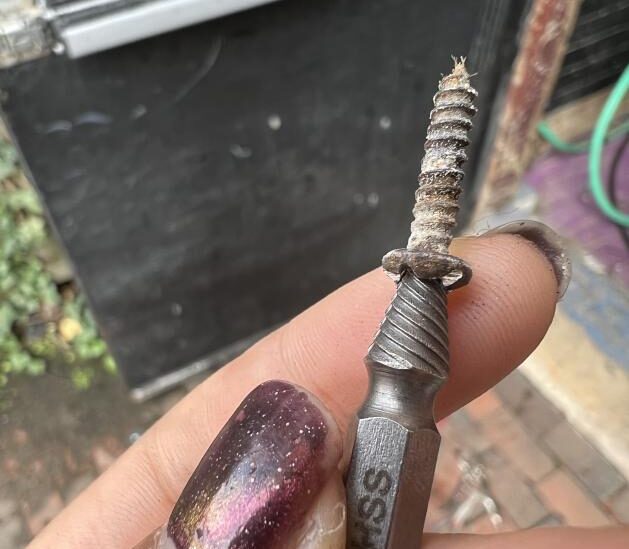 screw extractor bit dug into a stripped screw