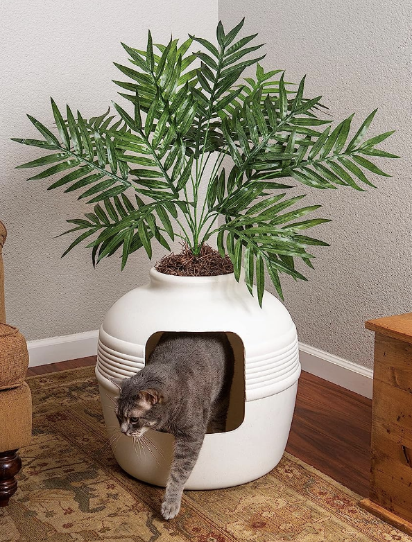plant cat litterbox